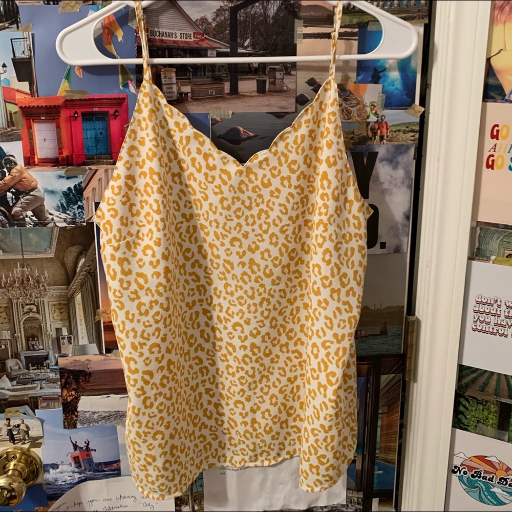 Francesca’s Tank Blouse